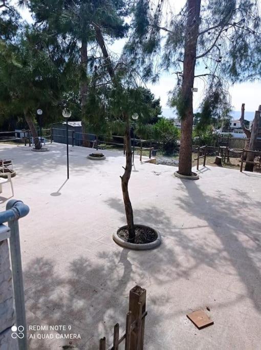 Appartamento In Villa Con Pineta Leporano Εξωτερικό φωτογραφία